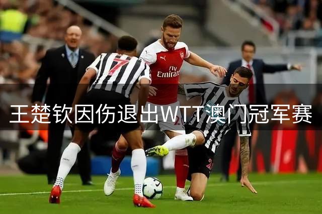 王楚钦因伤退出WTT澳门冠军赛
